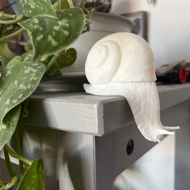 مجسمه طرح حیوانات حلزون مدل Snail