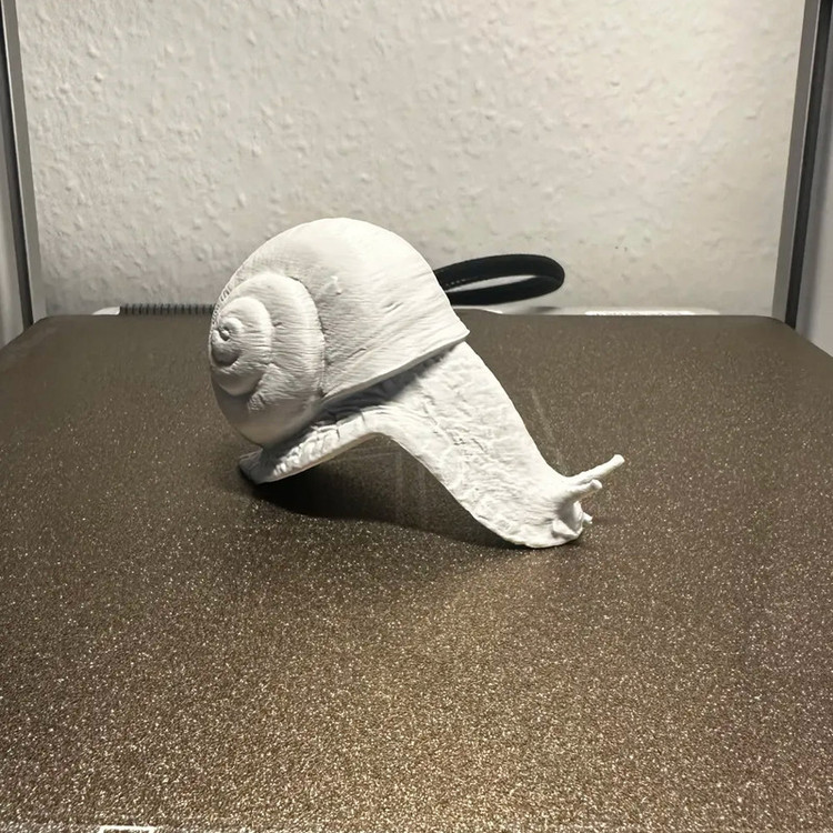 مجسمه طرح حیوانات حلزون مدل Snail